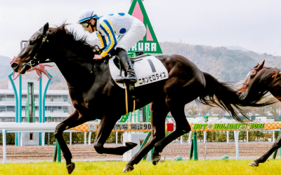 タイズ小倉6R優勝