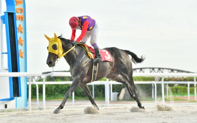 ヘンソン笠松パンパスグラスオープンＡ１特別 優勝