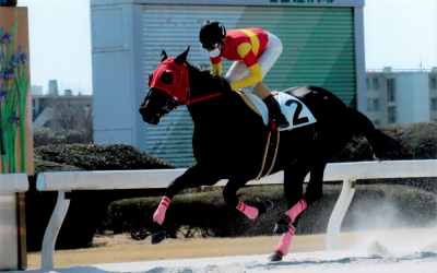 ラブリー名古屋5R優勝