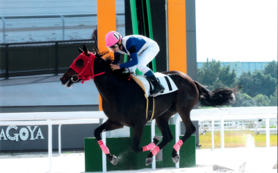 ホリデー名古屋1R優勝